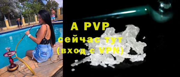 спайс Богородицк