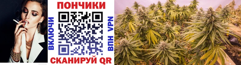Канабис конопля  Уссурийск 